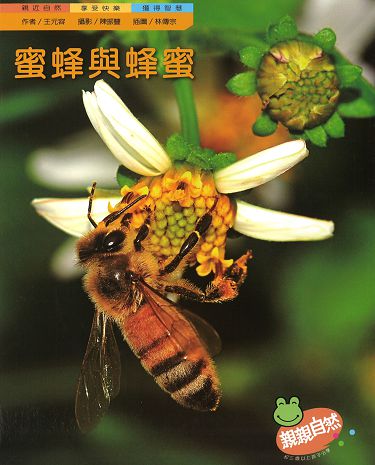 蜜蜂與蜂蜜